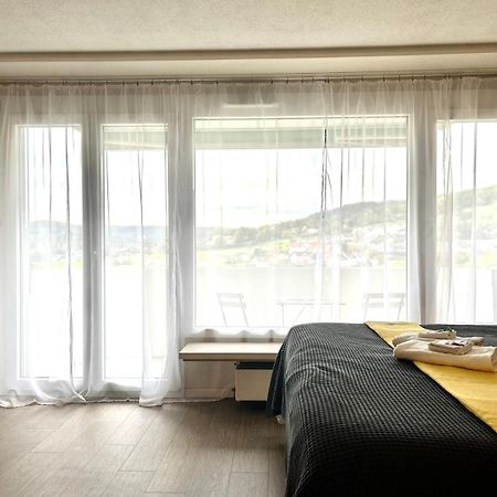 Little Penthouse **** Διαμέρισμα Dietikon Εξωτερικό φωτογραφία
