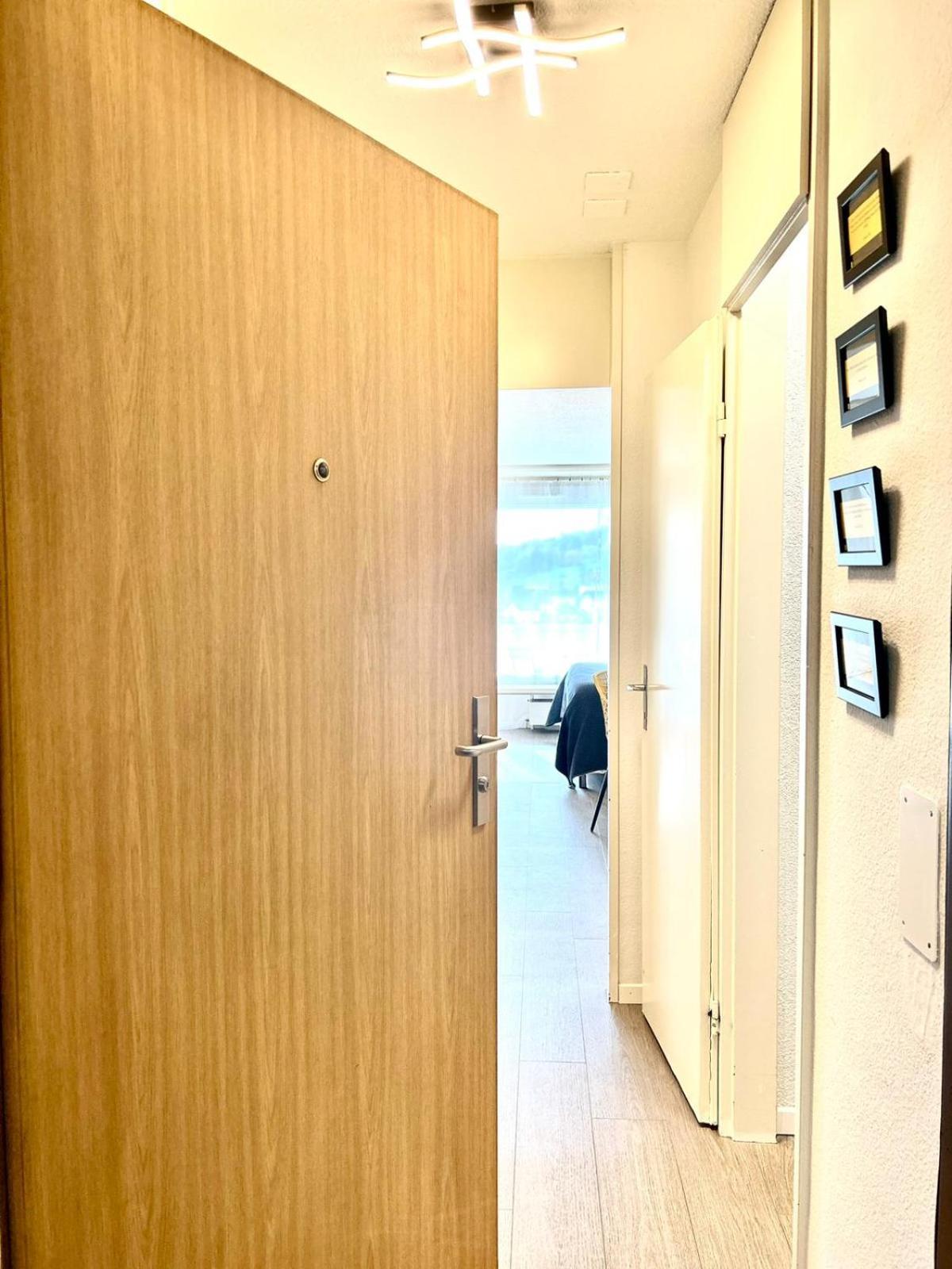 Little Penthouse **** Διαμέρισμα Dietikon Εξωτερικό φωτογραφία