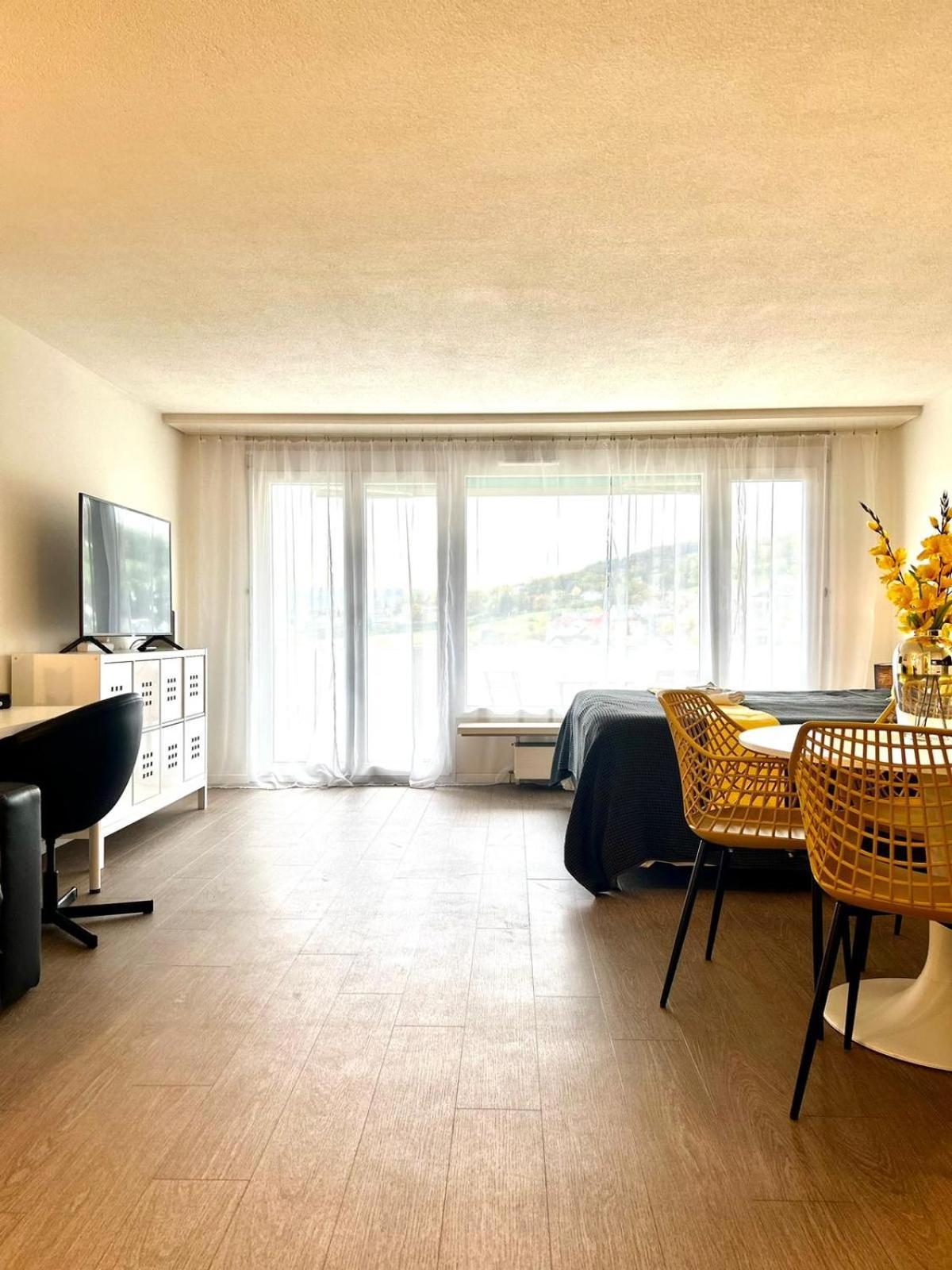 Little Penthouse **** Διαμέρισμα Dietikon Εξωτερικό φωτογραφία