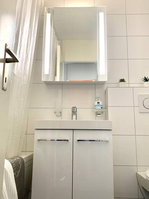 Little Penthouse **** Διαμέρισμα Dietikon Εξωτερικό φωτογραφία