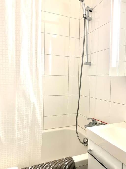 Little Penthouse **** Διαμέρισμα Dietikon Εξωτερικό φωτογραφία