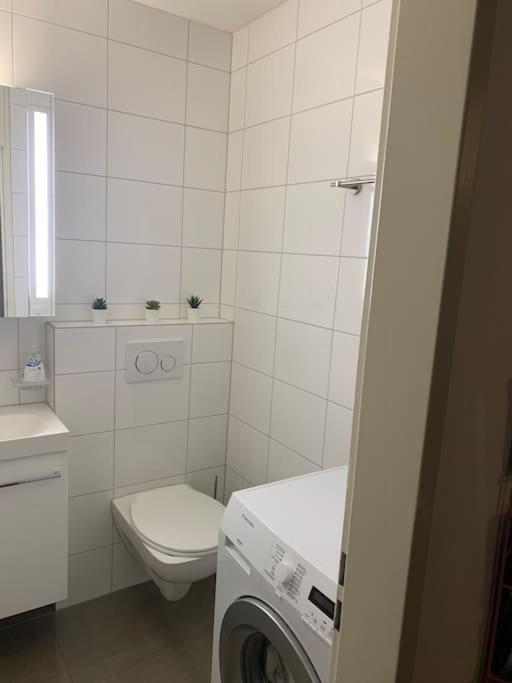 Little Penthouse **** Διαμέρισμα Dietikon Εξωτερικό φωτογραφία