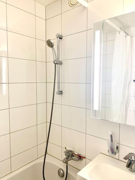 Little Penthouse **** Διαμέρισμα Dietikon Εξωτερικό φωτογραφία