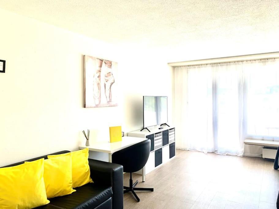 Little Penthouse **** Διαμέρισμα Dietikon Εξωτερικό φωτογραφία